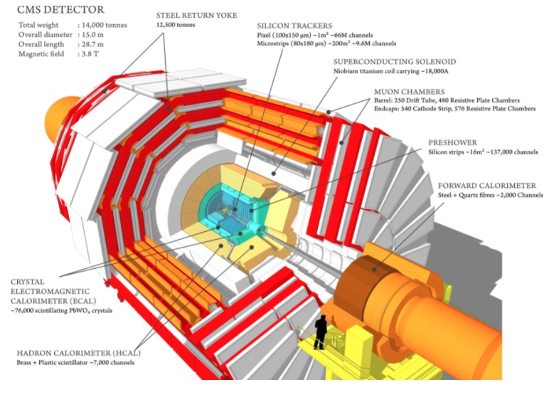 CMS-detector